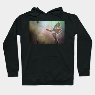 Look what I can ... Hoodie